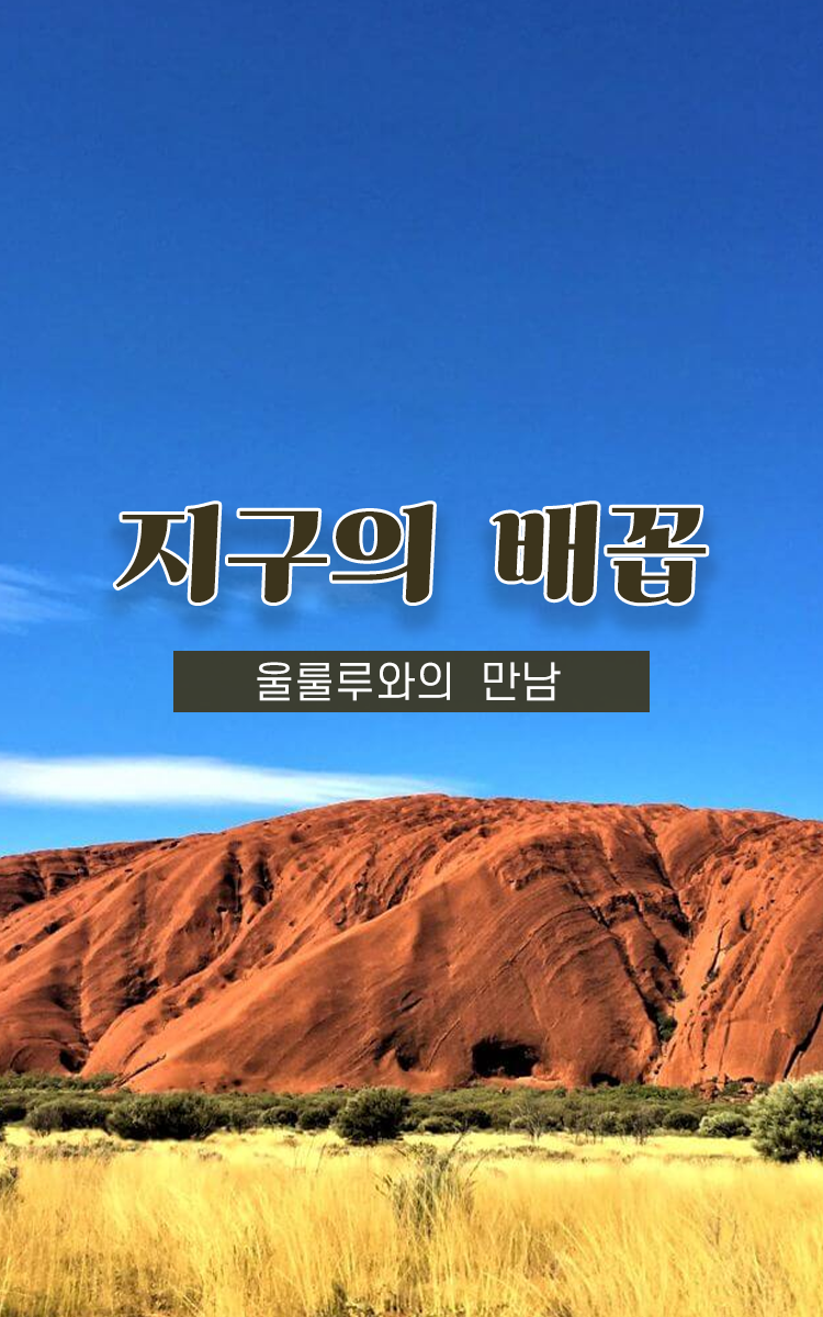 /upload/lucytour/file/we1100/202412/lucytour_cm9910_30000083.png