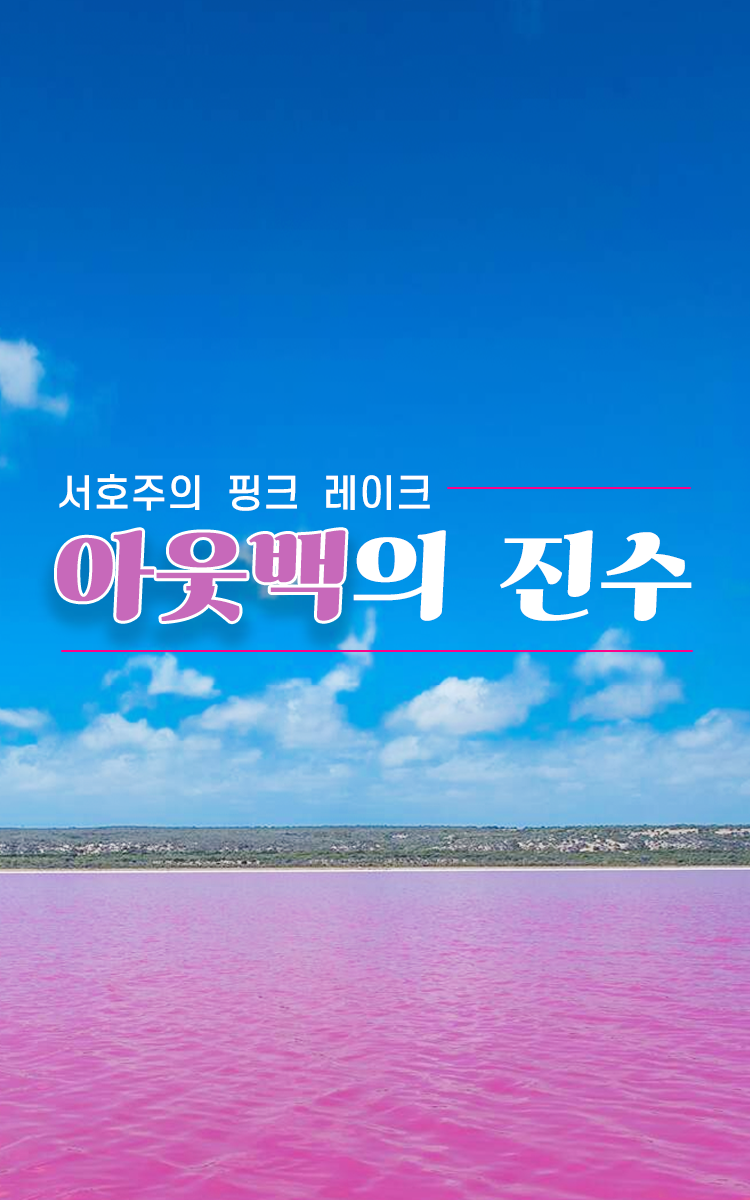 /upload/lucytour/file/we1100/202412/lucytour_cm9910_30000085.png