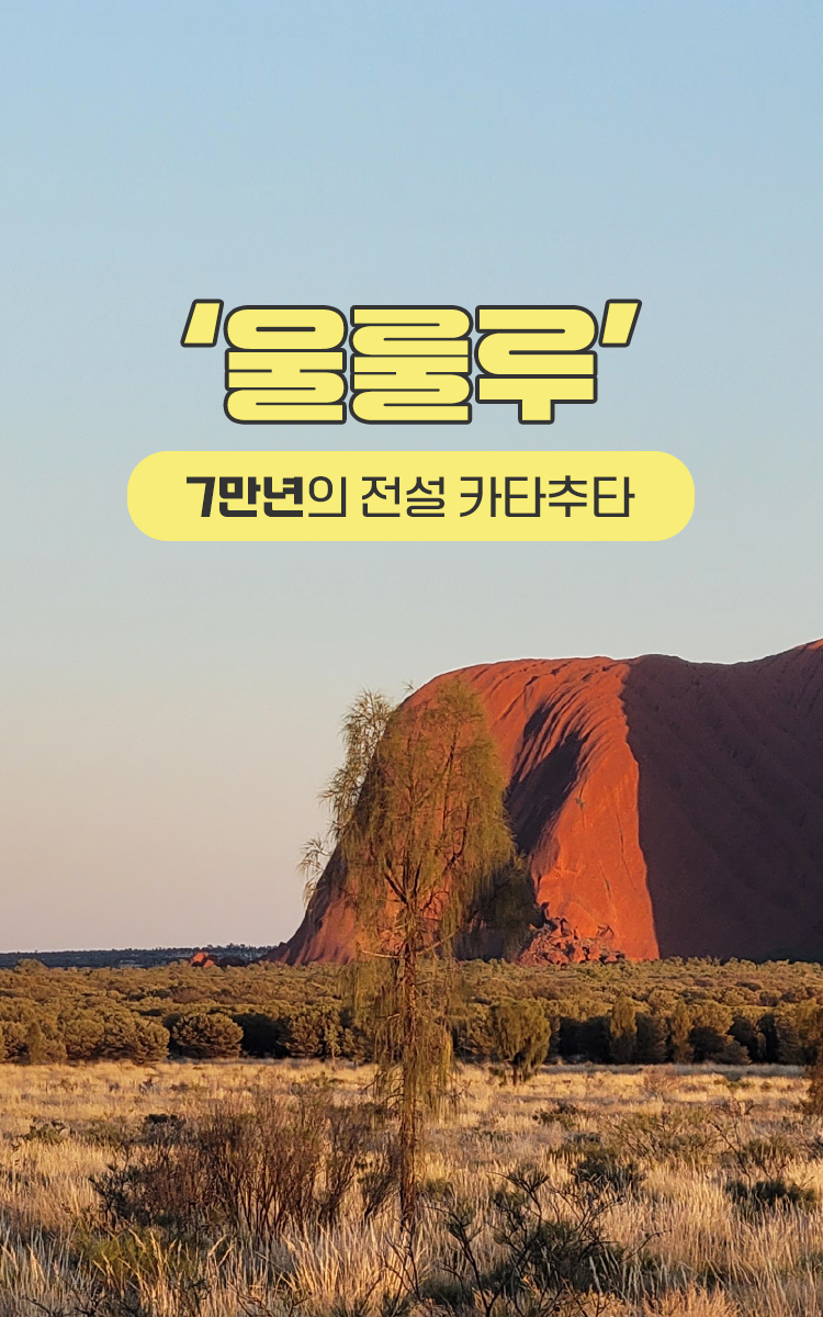/upload/lucytour/file/we1100/202505/lucytour_cm9910_30000173.png